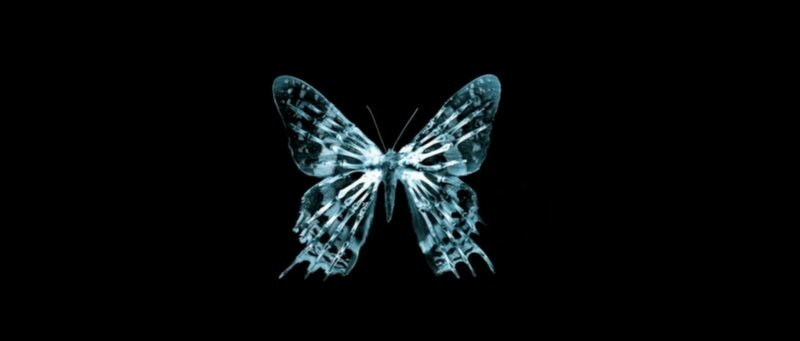 Glowing Butterfly — Blue, Mysterious