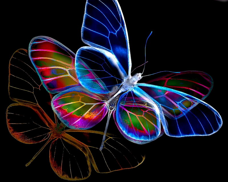 Glowing Butterfly — Blue