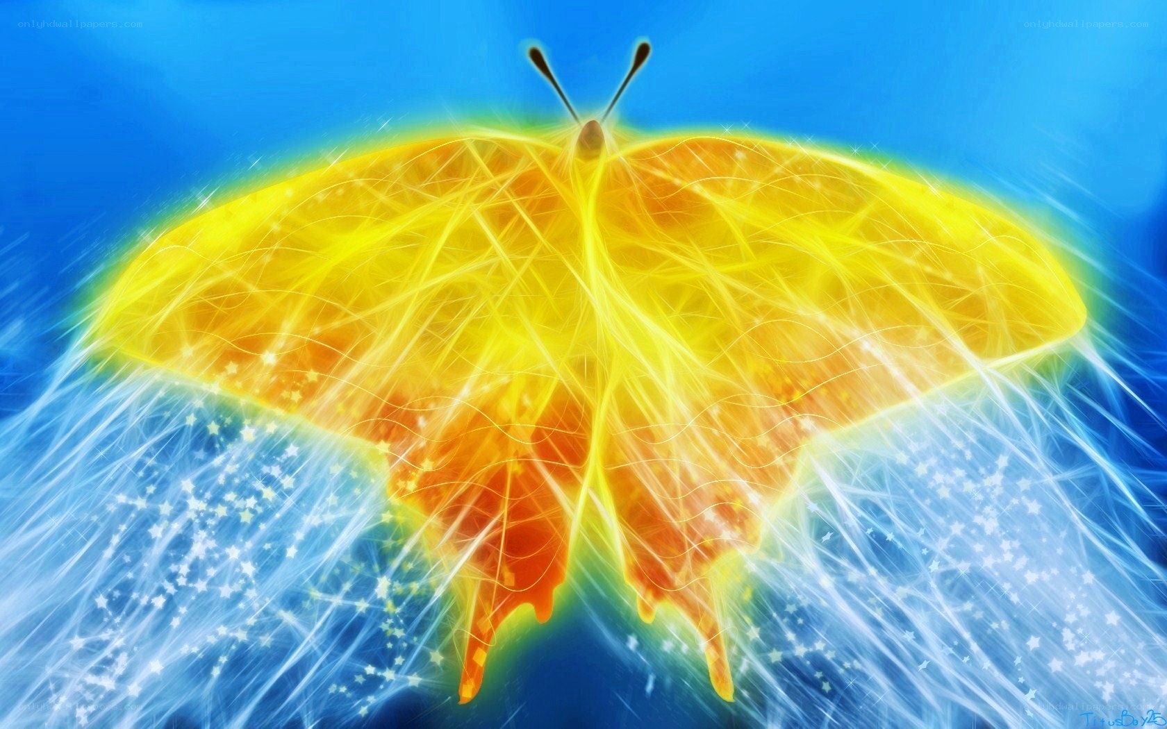 glowing butterfly in blue sky