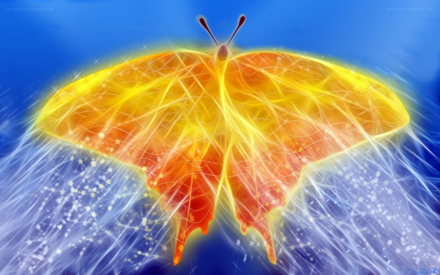 glowing butterfly in starry sky