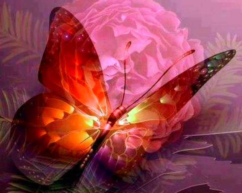 Glowing Butterfly on Flower — Pink