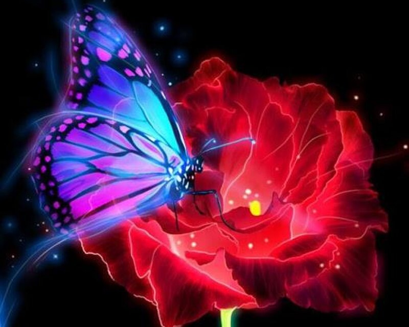 Glowing Butterfly on Flower