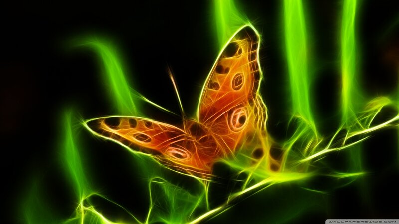 Glowing Butterfly on Plant