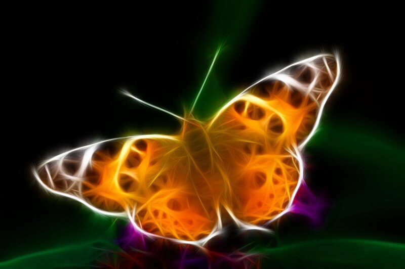 Glowing Butterfly — Orange