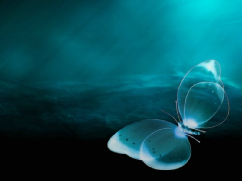 Glowing Butterfly Underwater