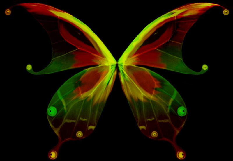Glowing Butterfly Wings — Green