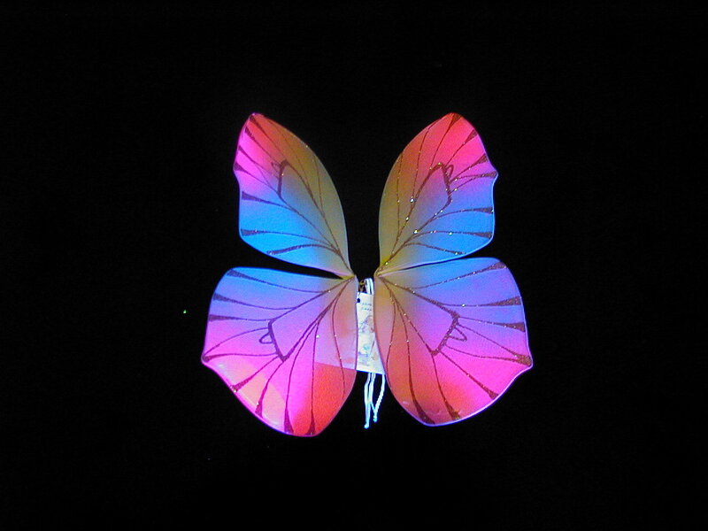 glowing butterfly wings