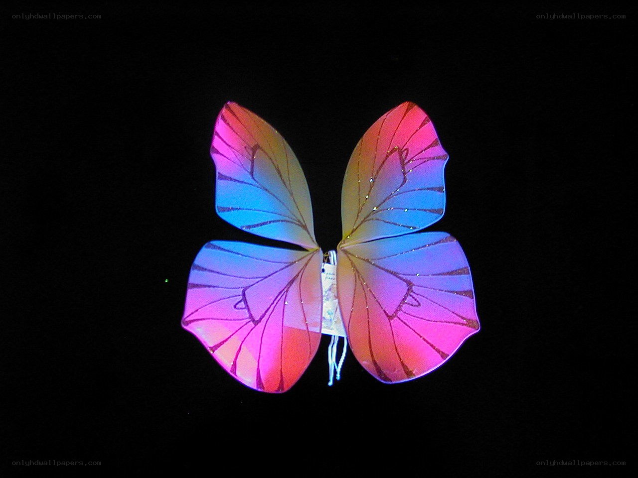 glowing butterfly wings