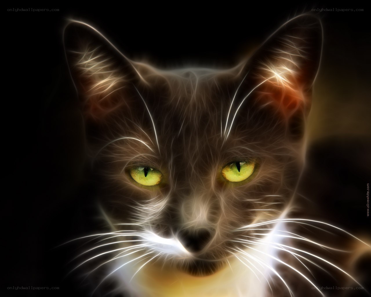 glowing cat eyes portrait