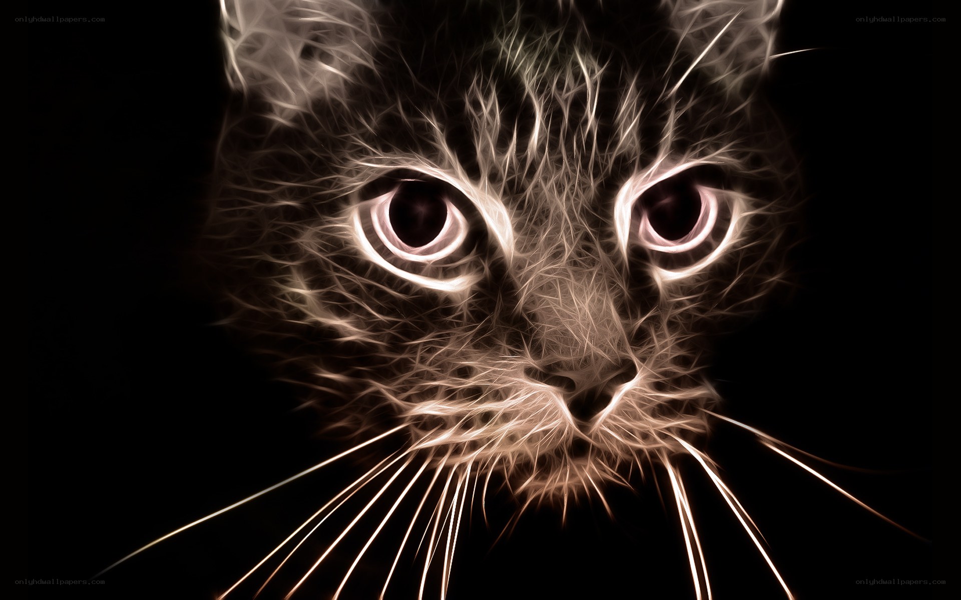 glowing cat face art