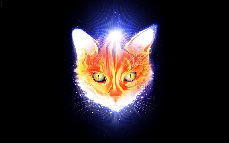 glowing cat face art