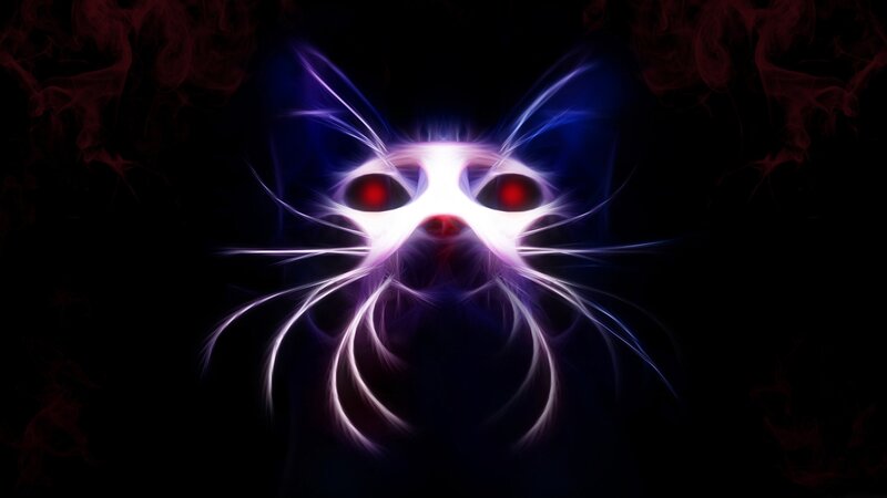 glowing cat face art