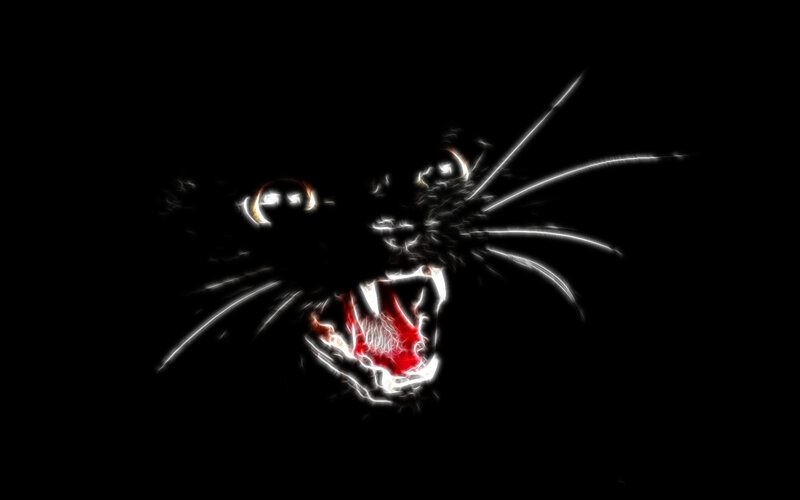 glowing cat face