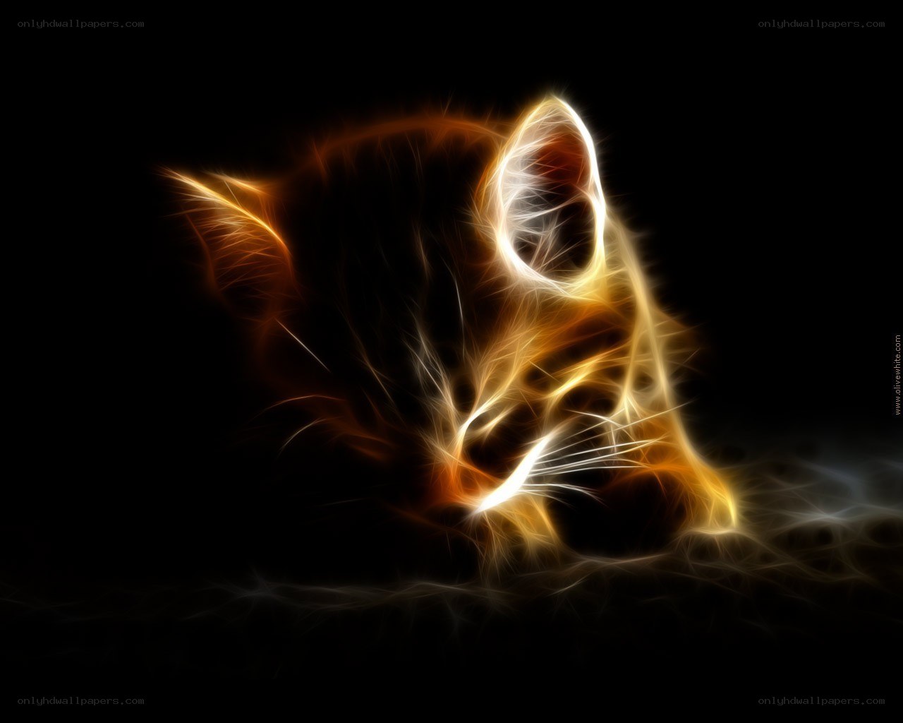 glowing cat fractal art