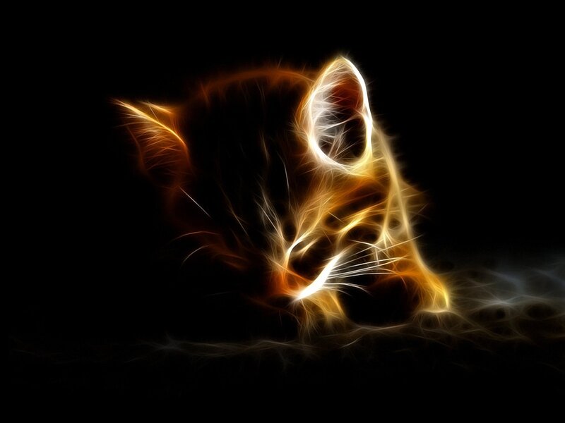 glowing cat head art