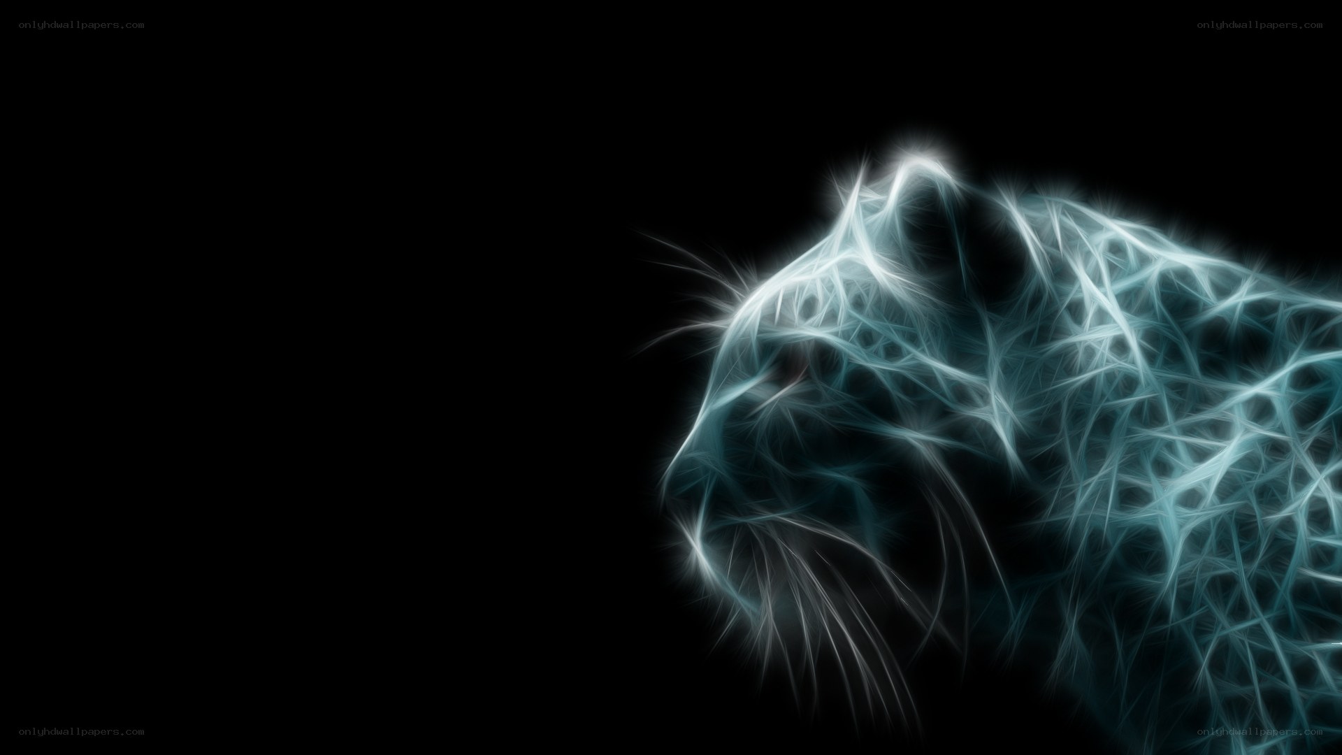 glowing cat head silhouette