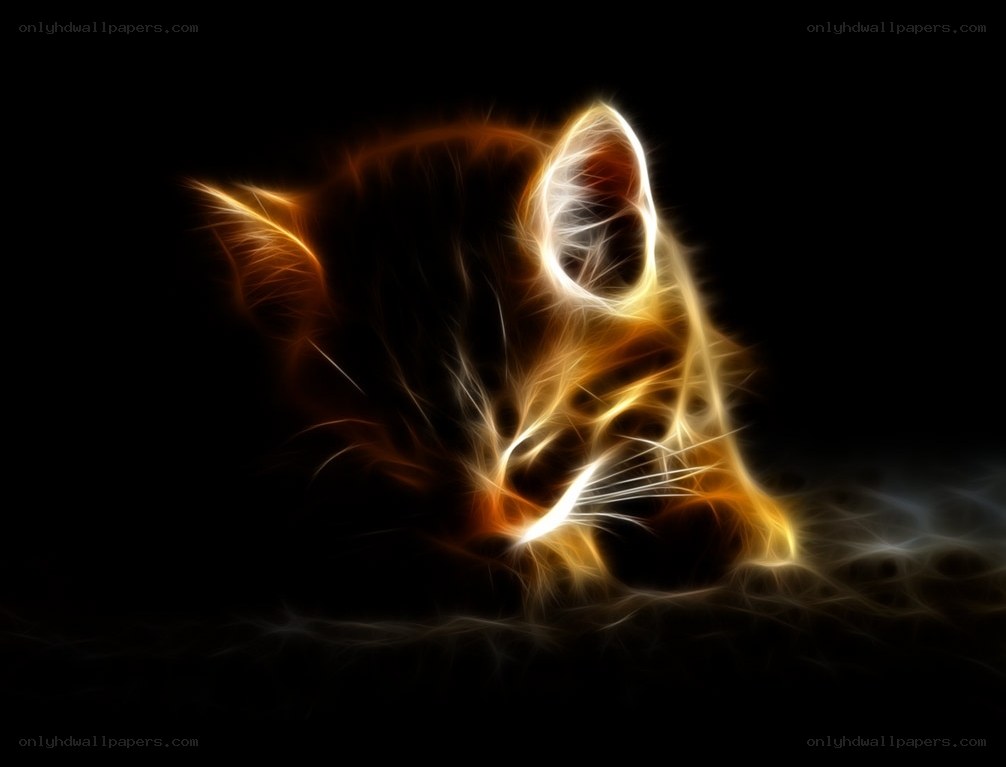 glowing cat in darkness