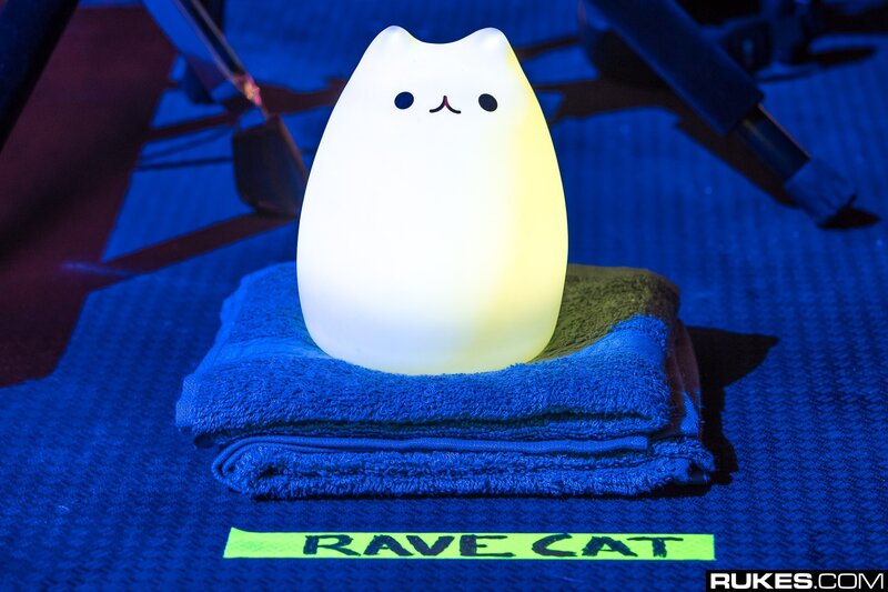 Glowing Cat Lamp