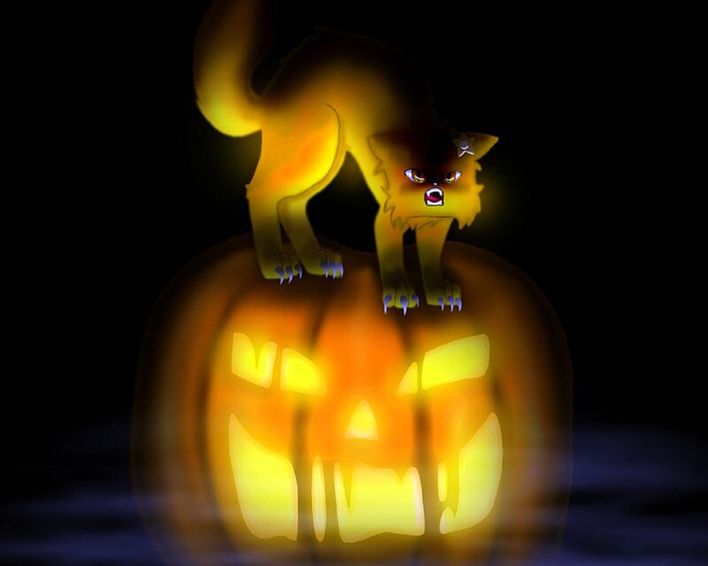 Glowing Cat on Pumpkin