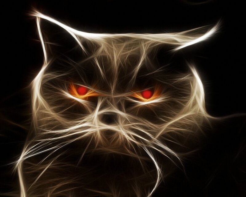 glowing cat with red eyes