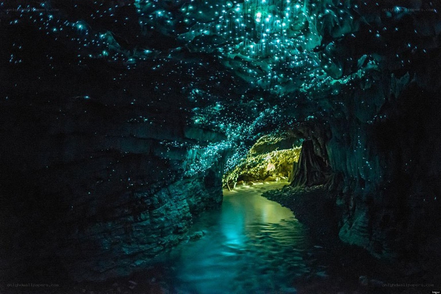 glowing cave with bioluminescent lights