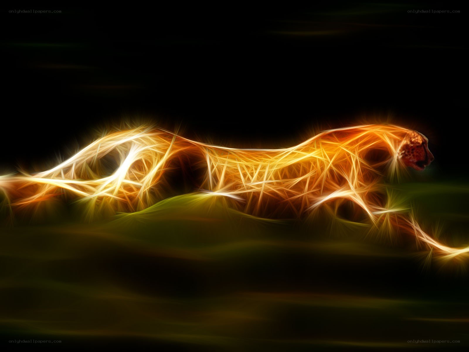 glowing cheetah in motion