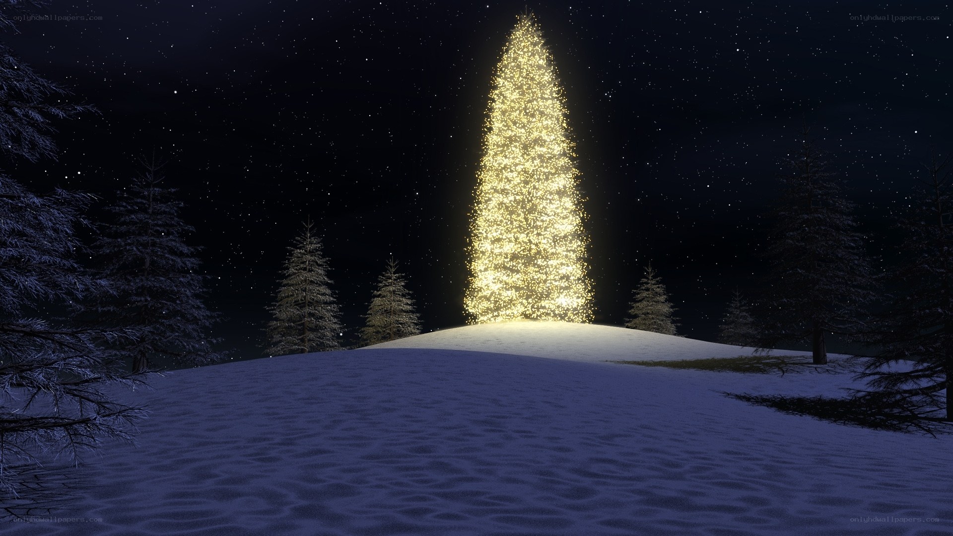 glowing christmas tree at night