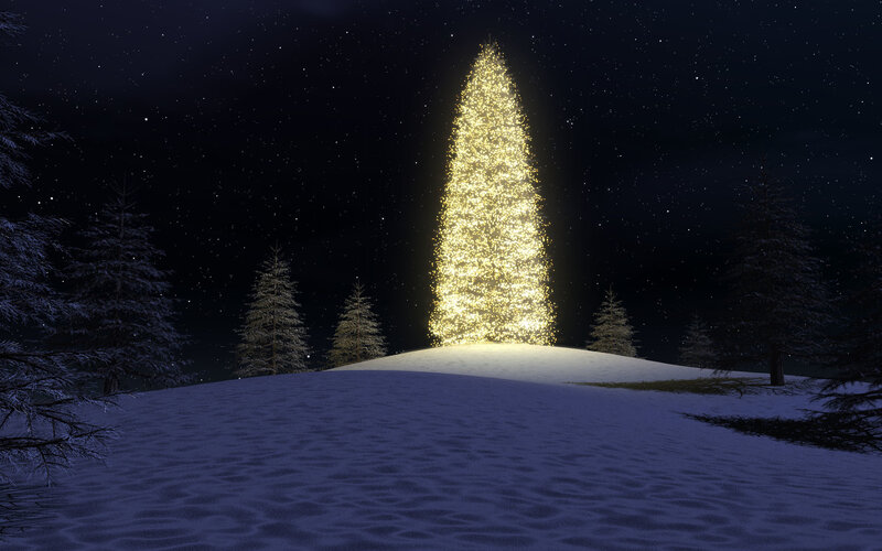 glowing christmas tree at night