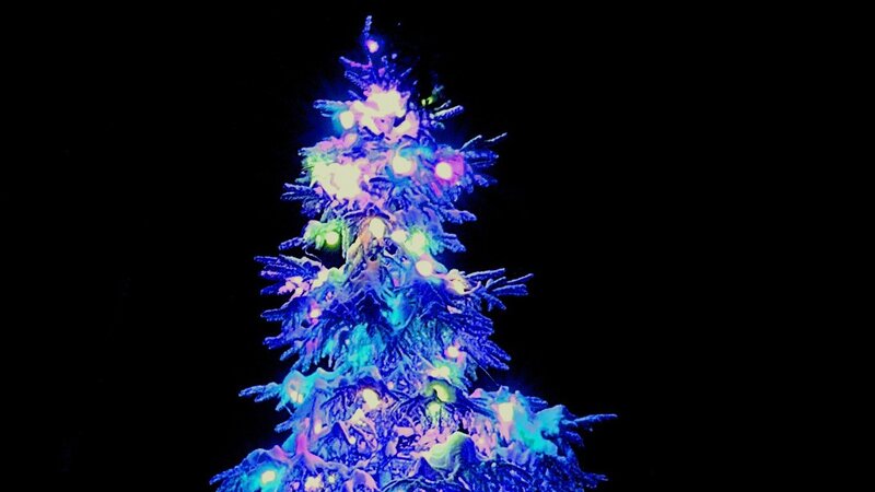 glowing christmas tree at night