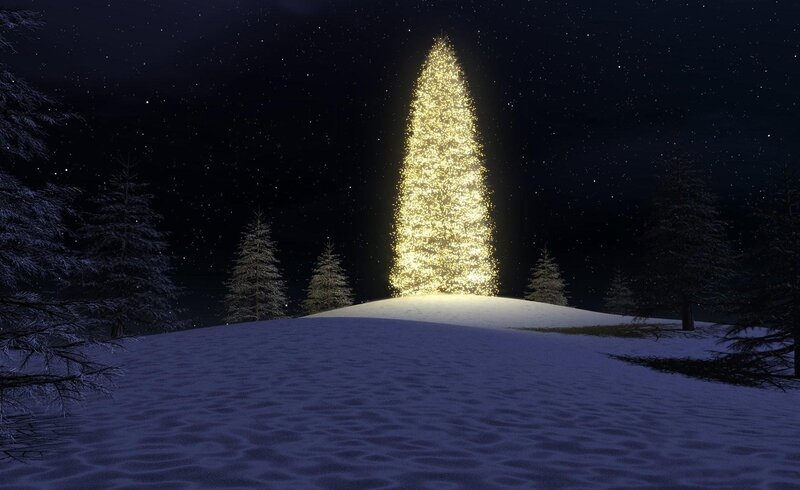 Glowing Christmas tree at night