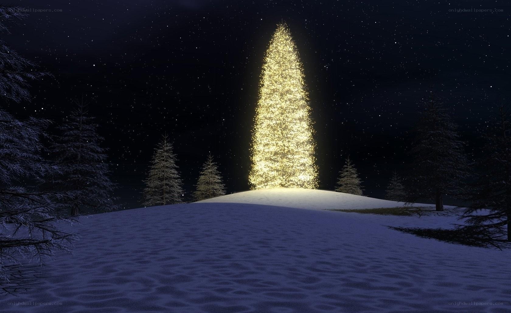 Glowing Christmas tree at night