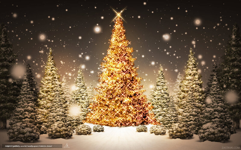 glowing christmas tree in snow