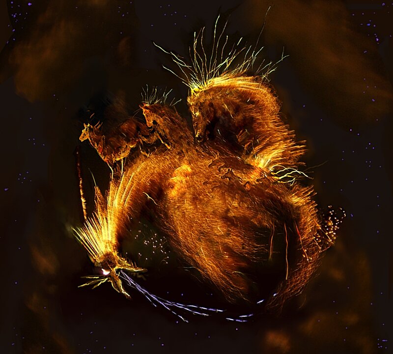 glowing creature in dark space