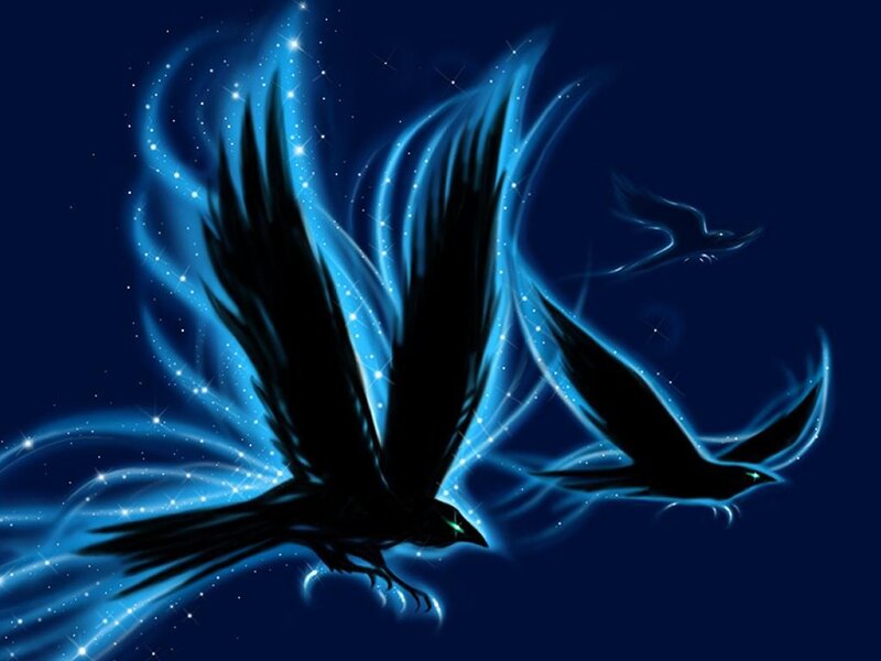 glowing crows in starry sky