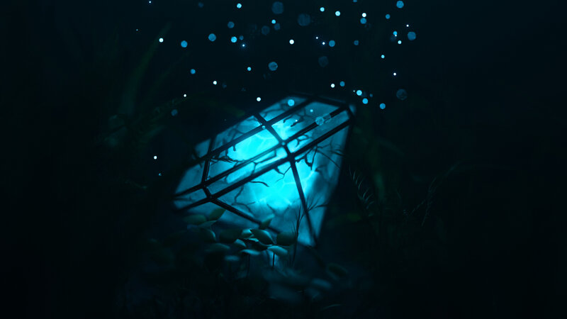 Glowing Cube in Dark Forest