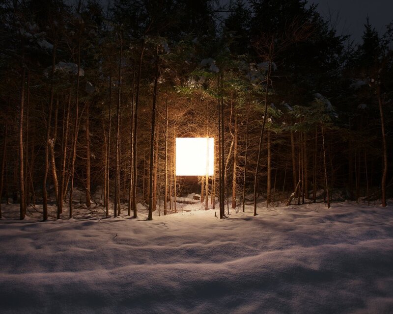 Glowing Cube in Forest