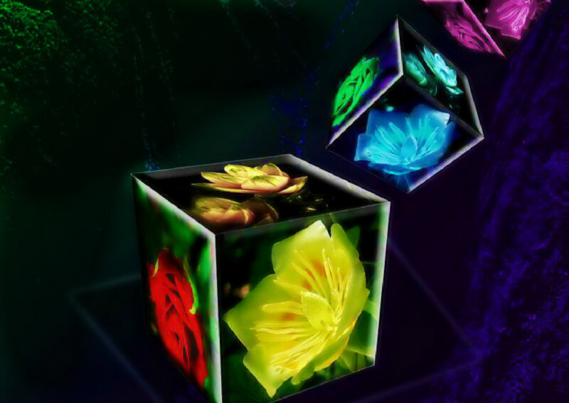 Glowing Cubes with Flowers