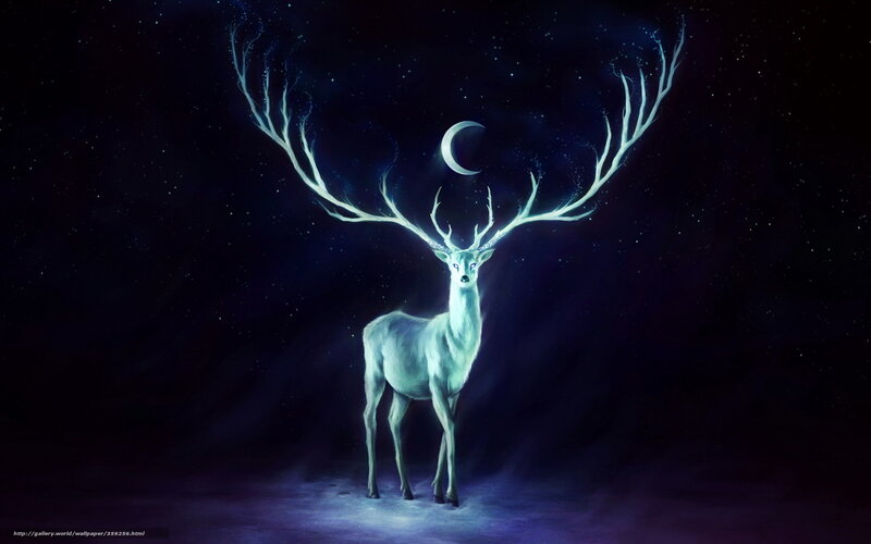 glowing deer under moonlight