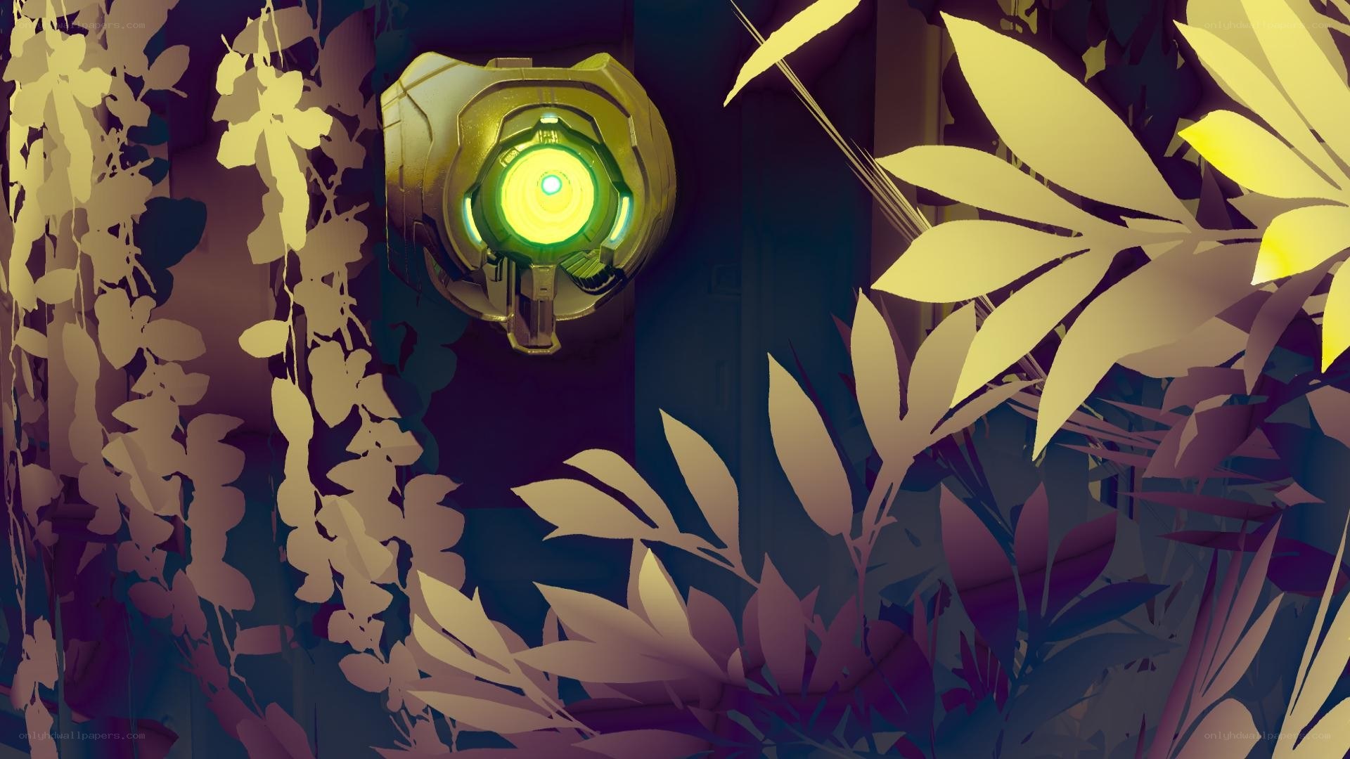 glowing device in foliage