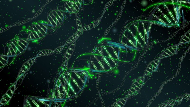 Glowing DNA Helices