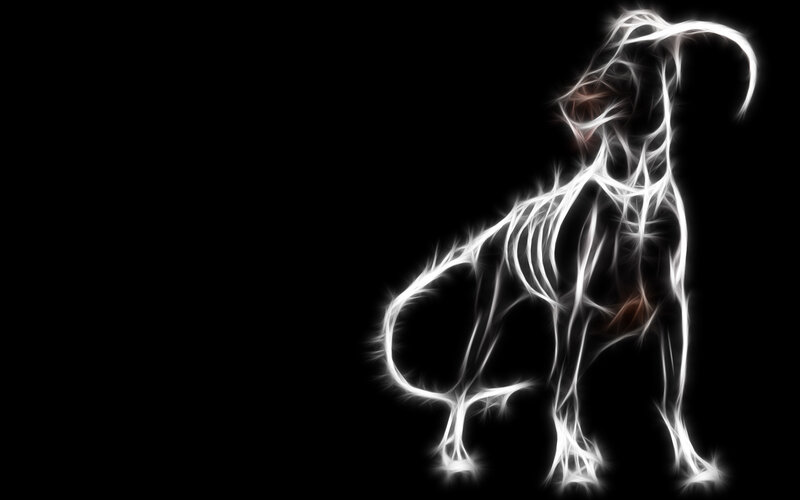 glowing dog silhouette
