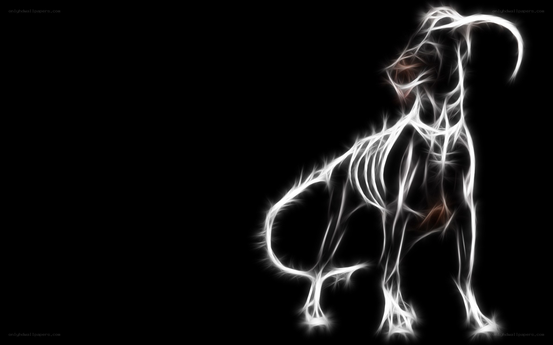 glowing dog silhouette