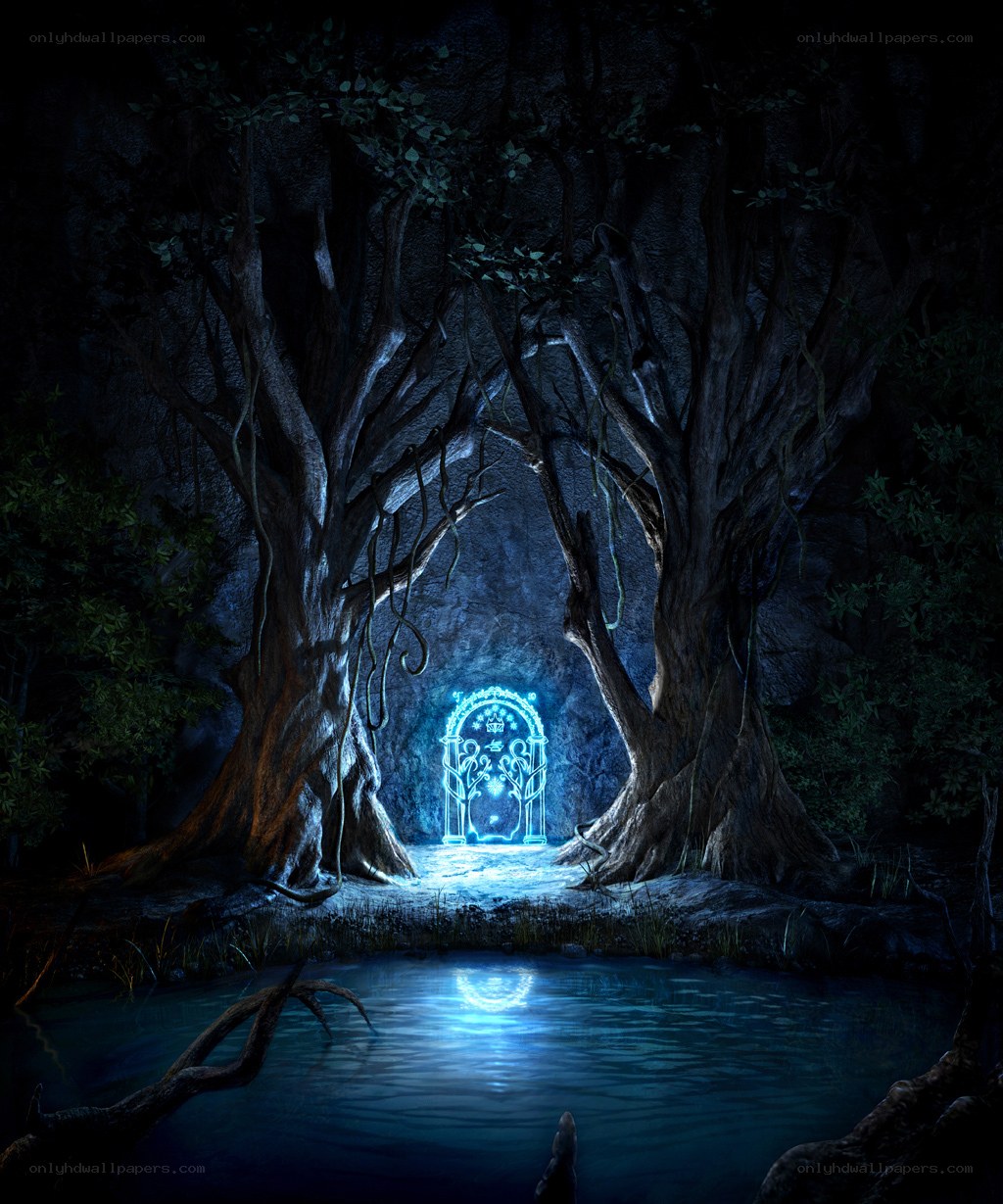 glowing door in dark forest