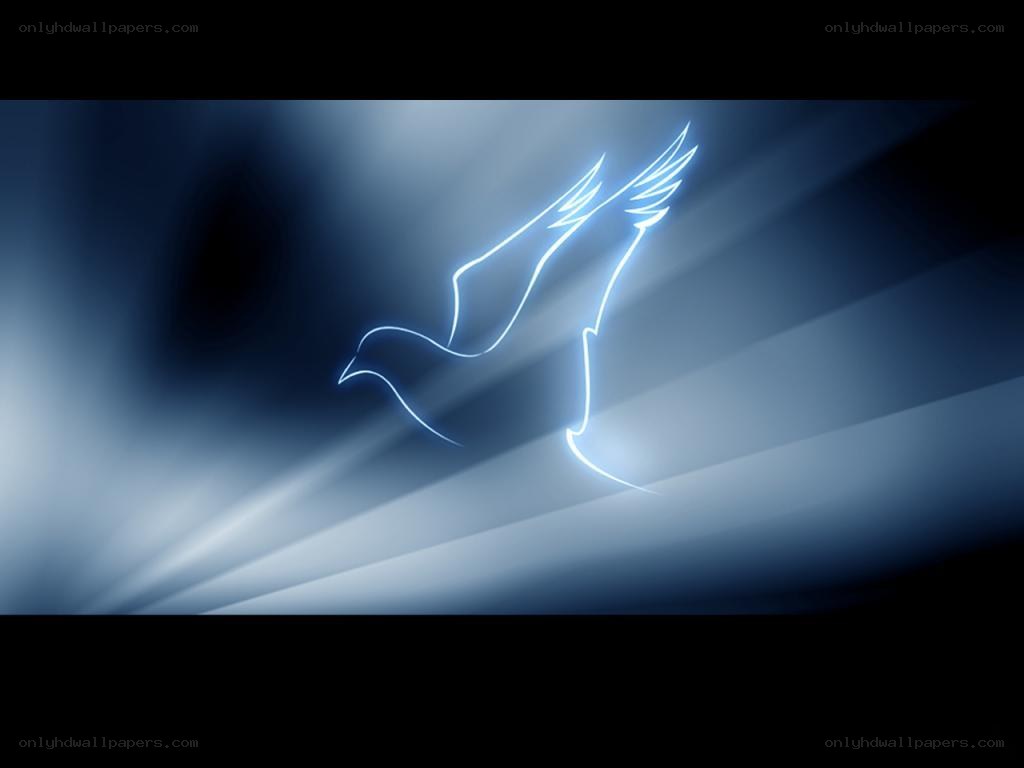 glowing dove in blue light