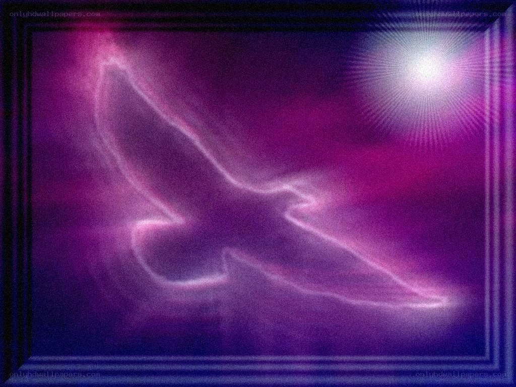 glowing dove in purple light