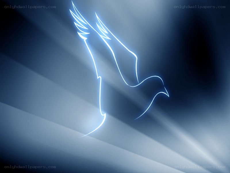 glowing dove silhouette