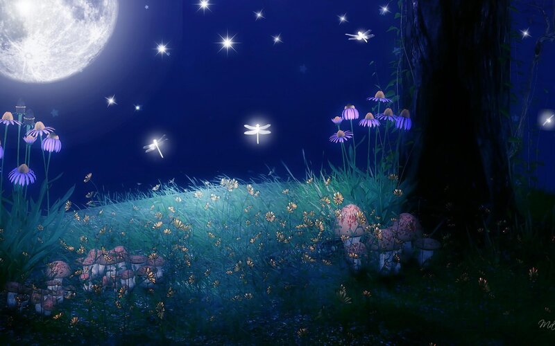 Glowing Dragonflies in Forest
