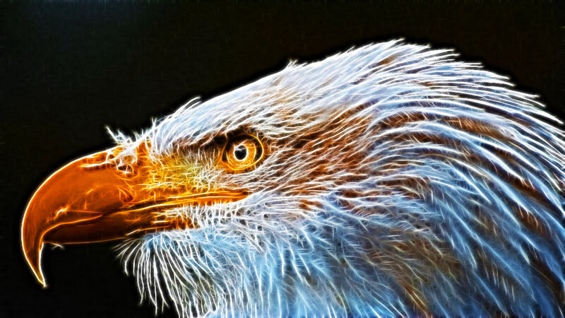 glowing eagle head portrait