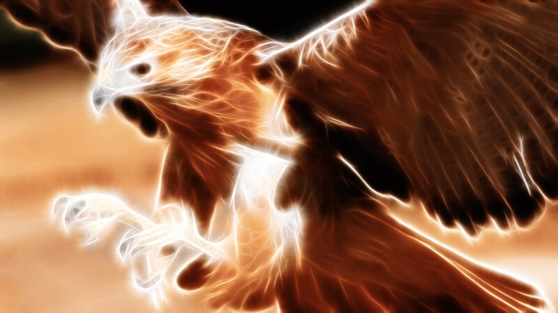 glowing eagle in flight