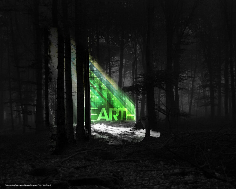 glowing earth in dark forest